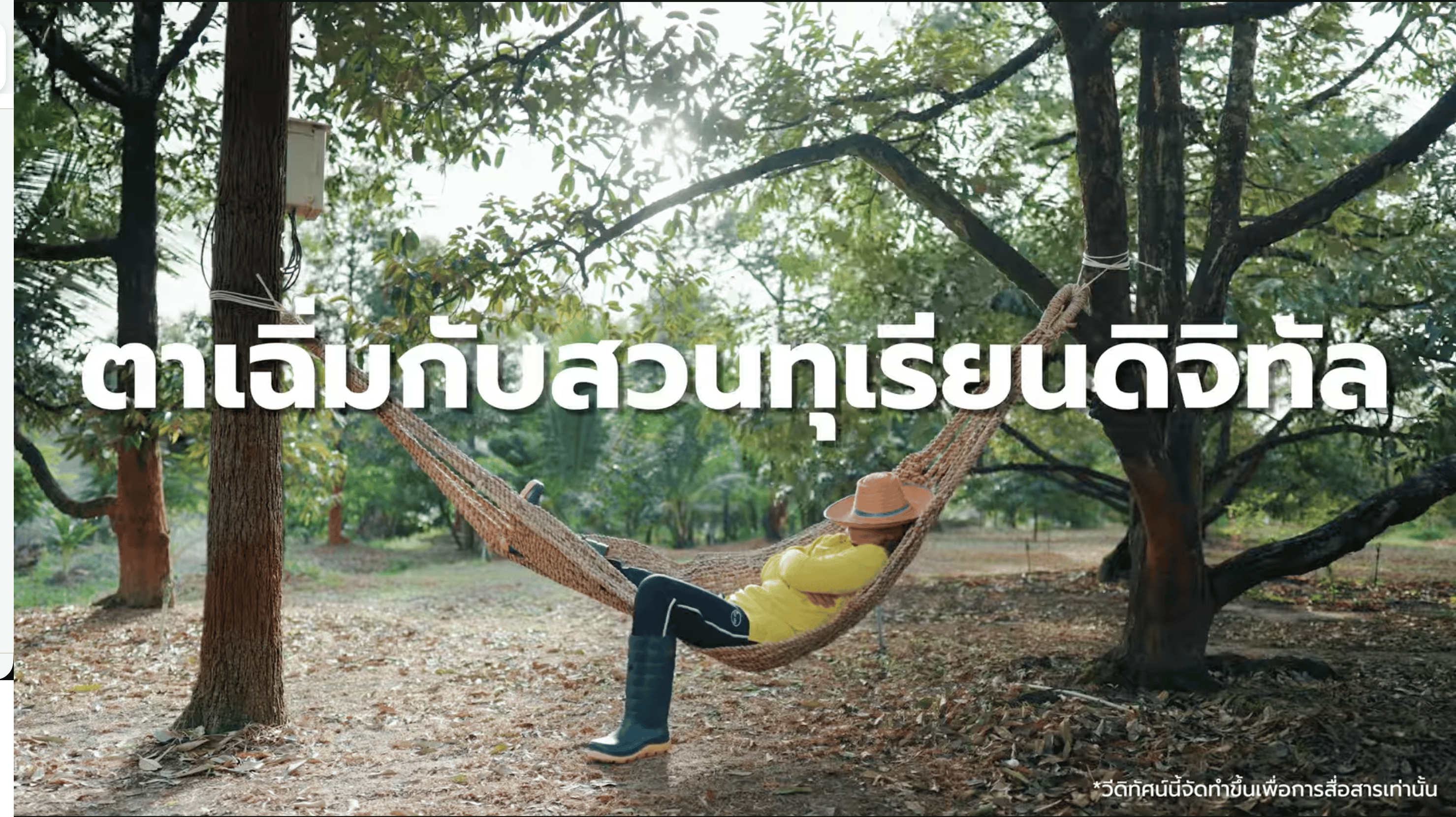 รู้หรือไม่? ทำสวนทุเรียนยุคใหม่…
แค่ “มือถือเครื่องเดียว” ก็จัดการได้ทั้งสวน แถมช่วยลดต้นทุน เพิ่มผลผลิต ขายได้ราคา ถึงเวลามาพลิกสวนทุเรียนไทยให้เป็น Smart Farmer กับทุเรียนดิจิทัล